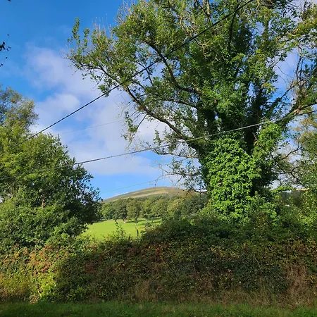 Gorgeous Wicklow Hills Hideaway Bed & Breakfast Tinahely