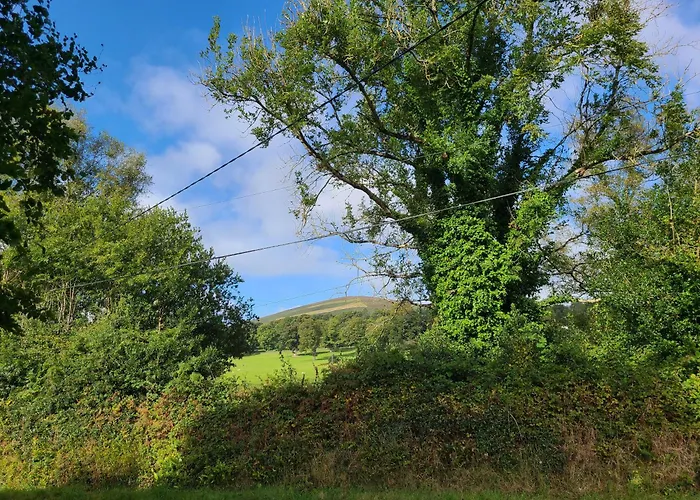 Gorgeous Wicklow Hills Hideaway 住宿加早餐酒店 Tinahely